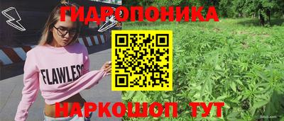 кокс Кимры