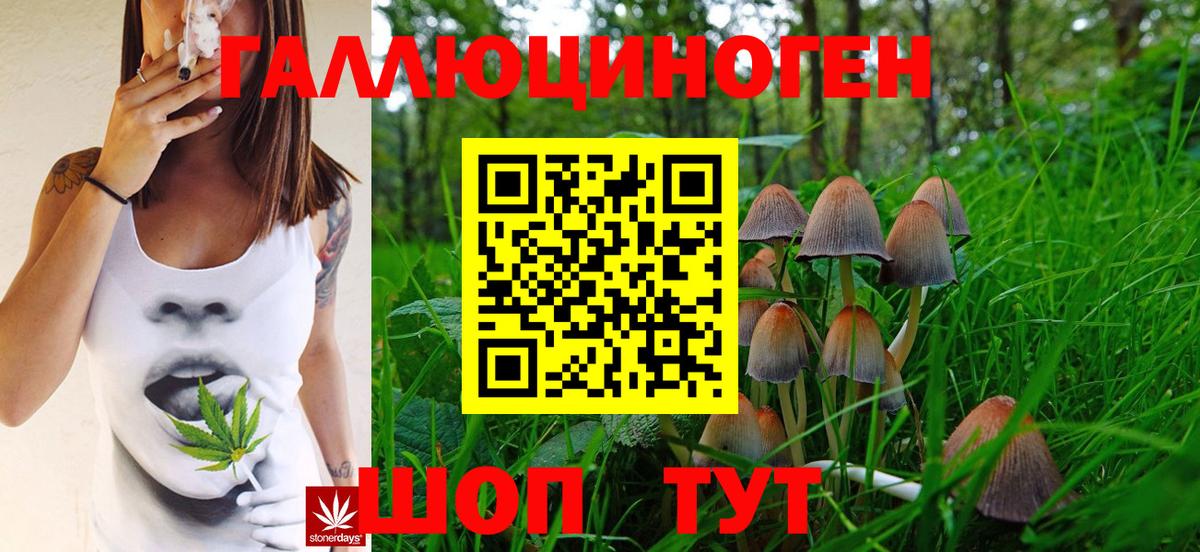 Псилоцибиновые грибы мицелий Кропоткин