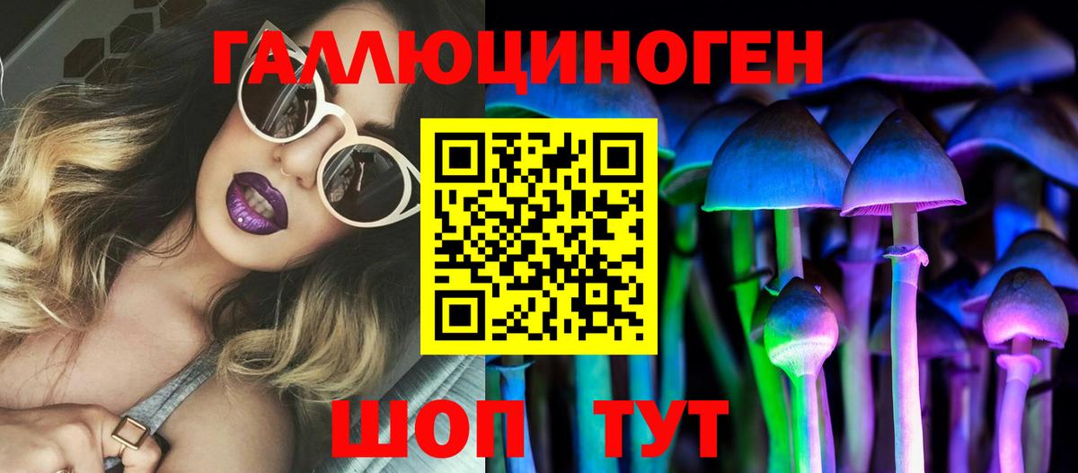 Кропоткин  закладка  Вход с VPN  Галлюциногенные грибы Psilocybine cubensis 